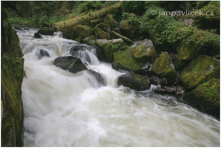 Anan Creek, Aljaška