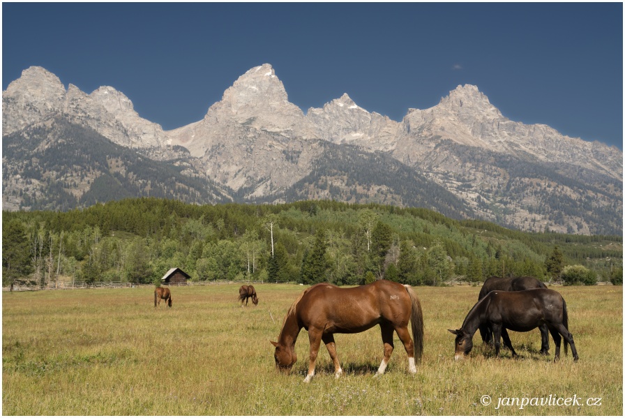 CATHEDRAL GROUP  hřebene Grand Teton