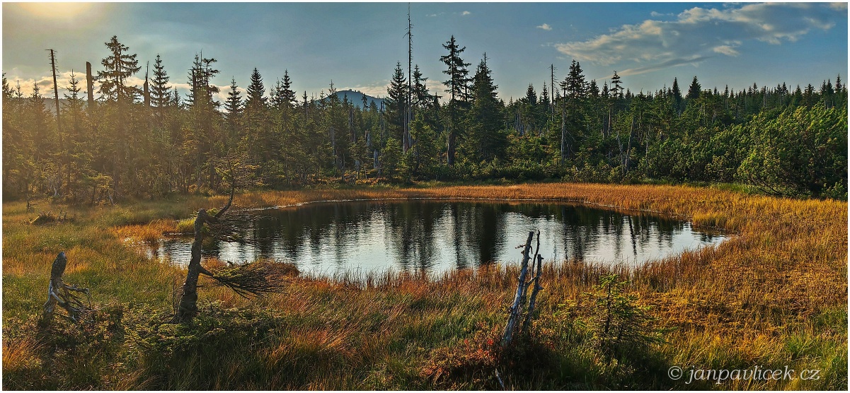 HRANIČNÍ SLAŤ , V POZADÍ LUZNÝ (1373 m)