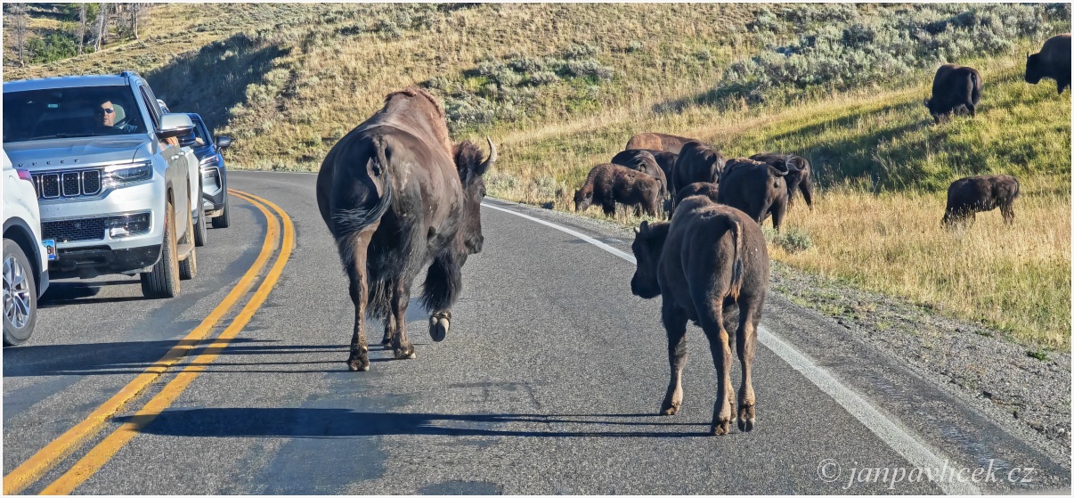....jen běžte v klidu, jste tady  přece doma...