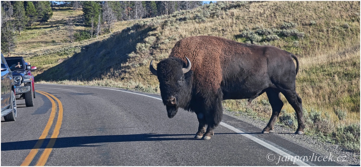 ...jen to zkuste nedat mi přednost....  :-)