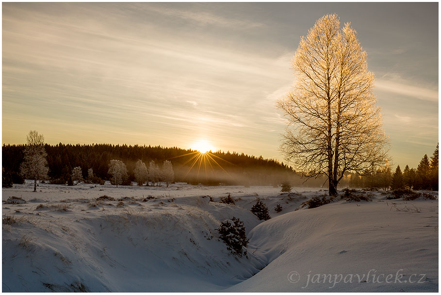 Knížecí pláně , 1021m, Šumava