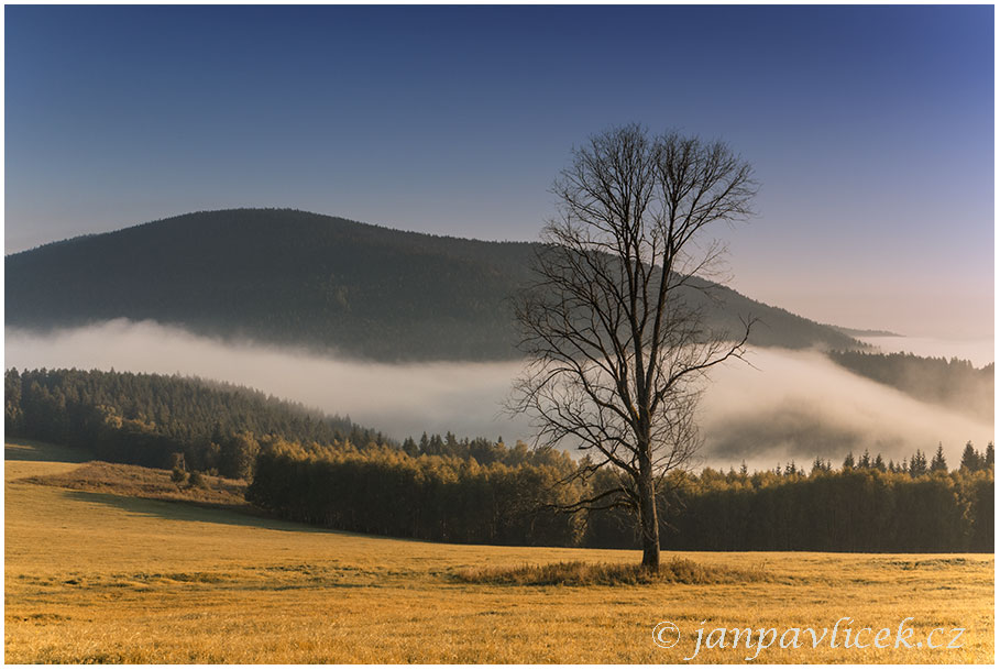 Křemelná (1125 m) od Velkého Boru