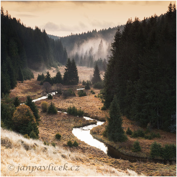 Meandry Křemelné,  Šumava