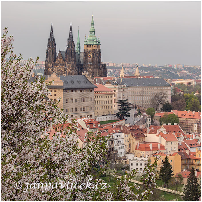 Pražský hrad