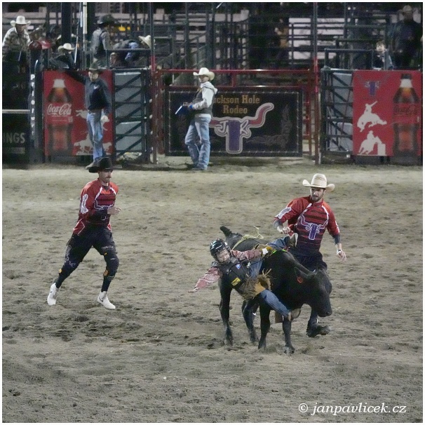 RODEO V JACKSON  HOLE