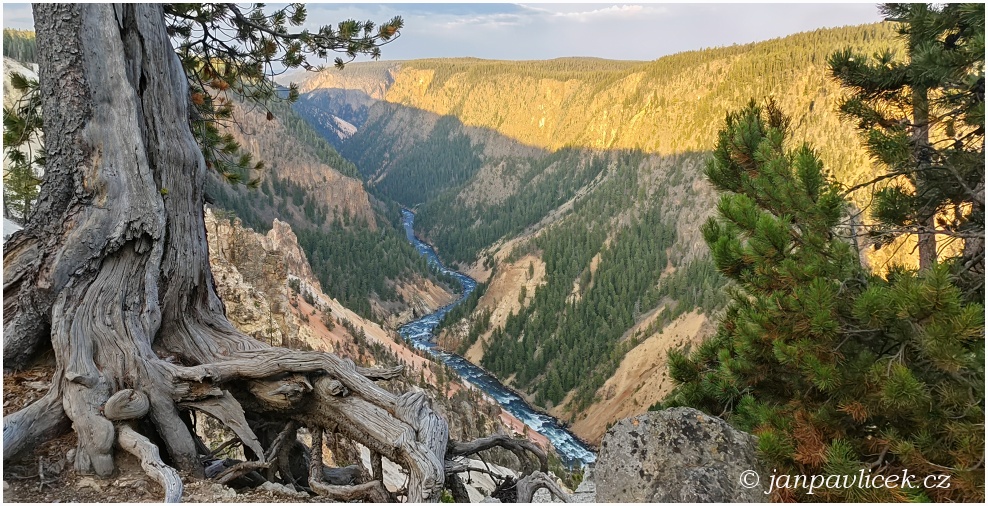 Velký kaňon řeky Yellowstone
