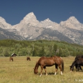 CATHEDRAL GROUP  hřebene Grand Teton | fotografie