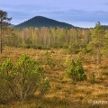 Chalupská slať, v pozadí Homole (1044 m) | fotografie