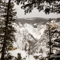 Grand Canyon Yellowstone | fotografie