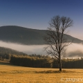 Křemelná (1125 m) od Velkého Boru | fotografie