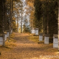 Křížová cesta u Borových Lad | fotografie