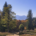 Pastviny Lindberger Schachten (1100 m), v pozadí Velký Roklan... | fotografie