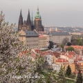 Pražský hrad | fotografie