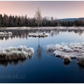 Ráno na Chalupské slaťi | fotografie