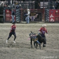 RODEO V JACKSON  HOLE | fotografie