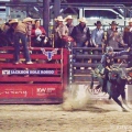 RODEO V JACKSON  HOLE | fotografie
