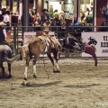 RODEO V JACKSON  HOLE | fotografie