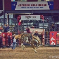 RODEO V JACKSON  HOLE | fotografie