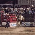 RODEO V JACKSON  HOLE | fotografie
