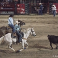 RODEO V JACKSON  HOLE | fotografie