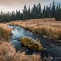 Roklansky potok (též Mlýnský potok), podvečer | fotografie