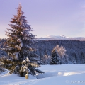 Velký Roklan (1453 m), Malý Roklan (1399 m) od Zhůří | fotografie