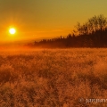 Východ slunce na Zhůří | fotografie