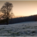 Východ slunce u Srní | fotografie